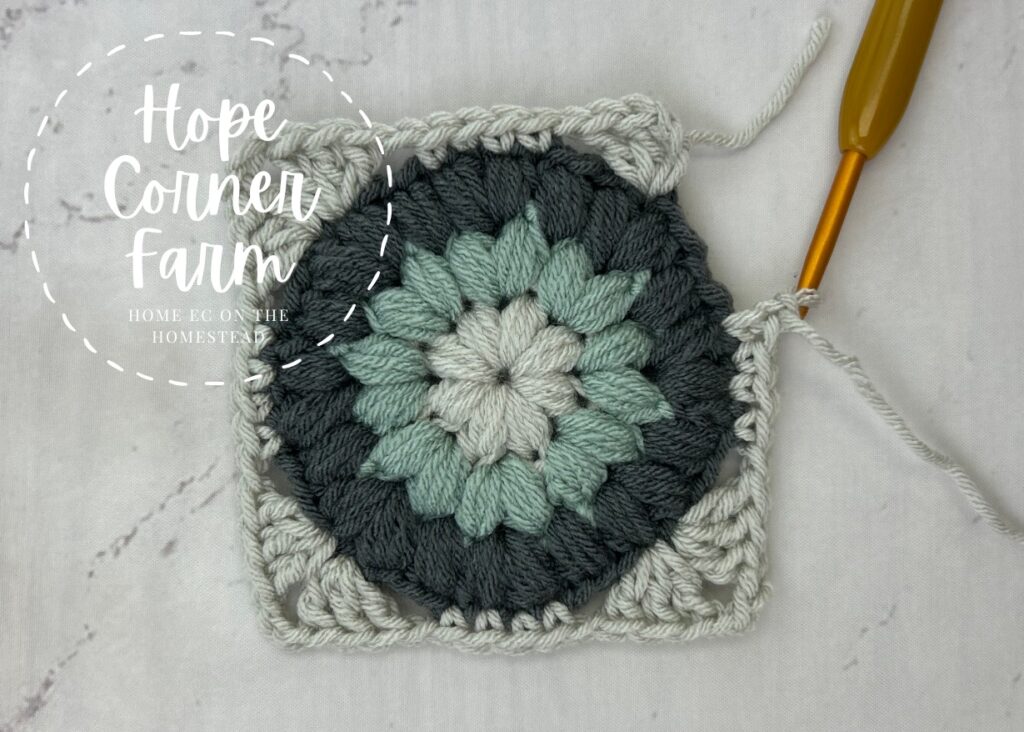 After placing 4 single crochet stitches