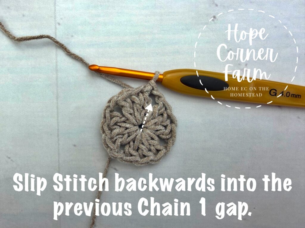 Slip Stitch backwards into the previous Chain 1 gap