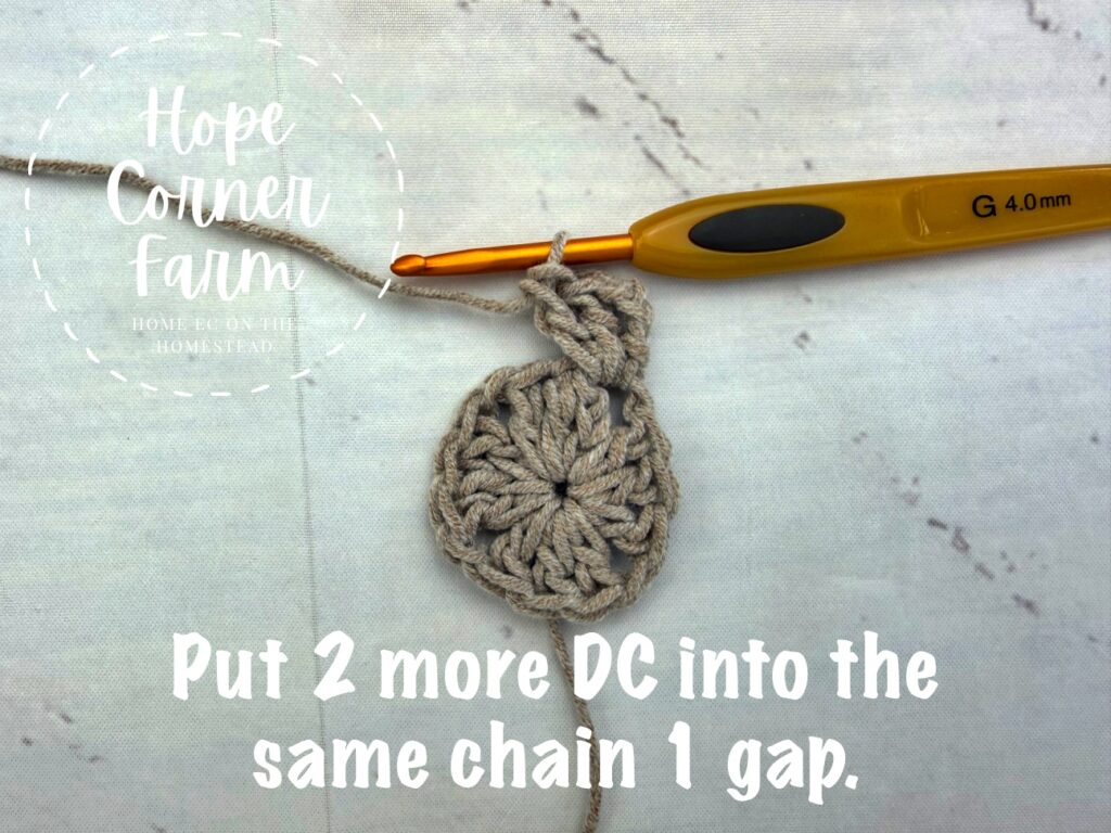 Put 2 more Double Crochets into the same chain 1 gap
