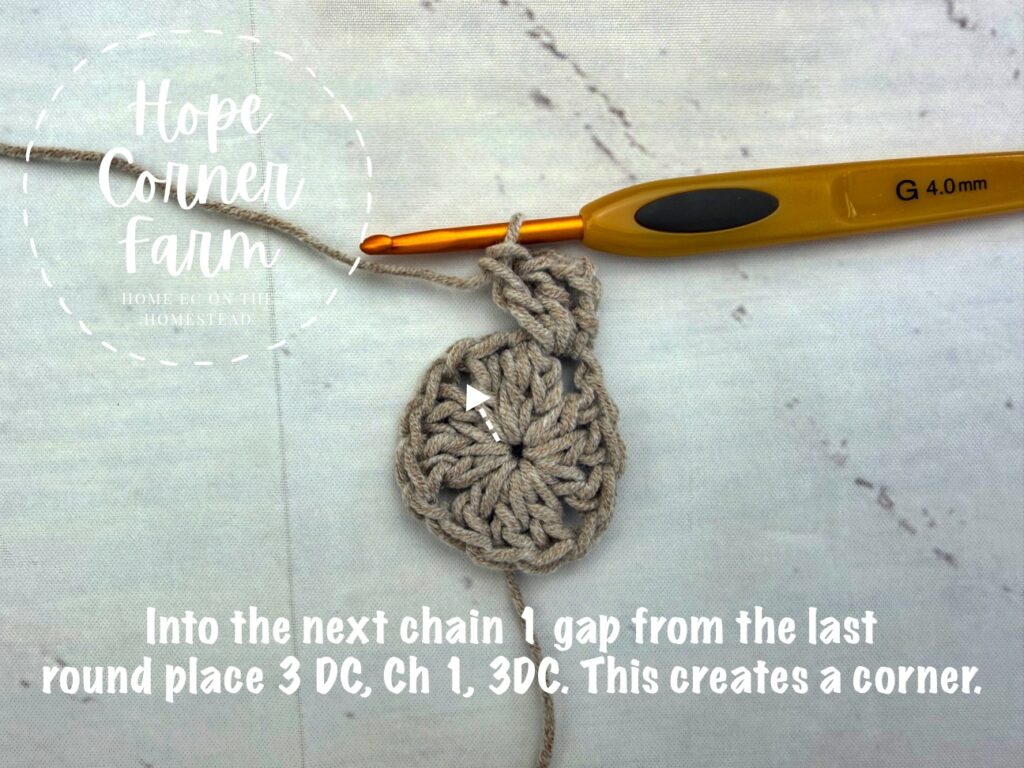 Into the next chain 1 gap from the last round place 3 DC, ch 1, 3 DC.