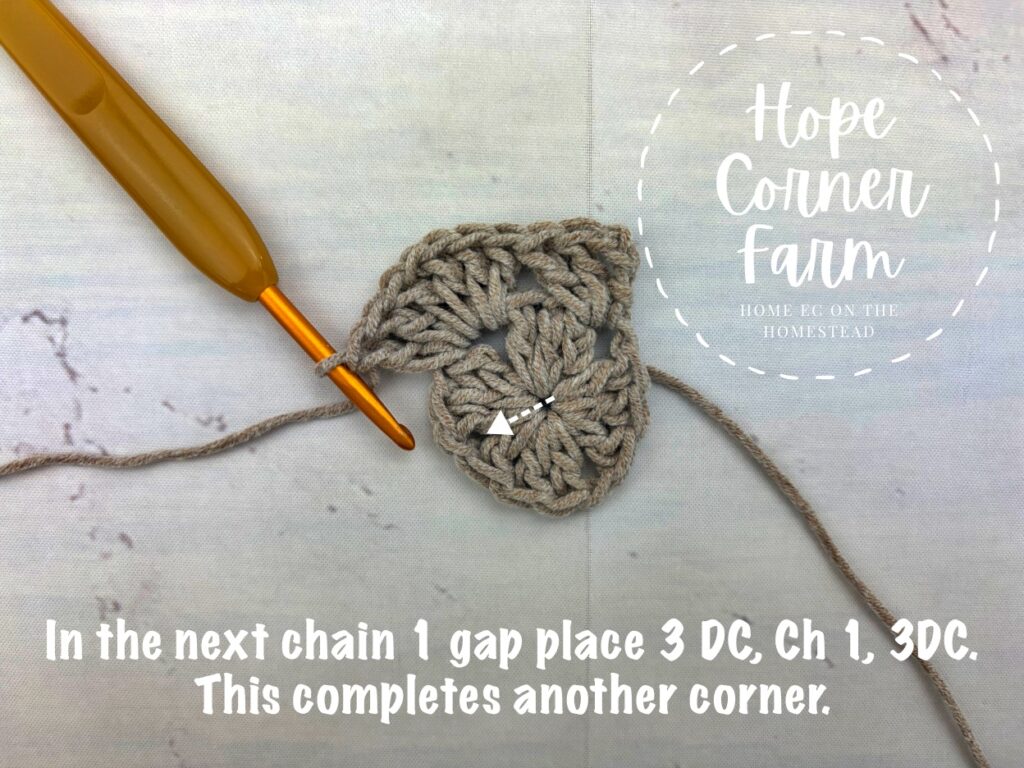 In the next chain 1 gap place 3 DC, chain 1, 3 DC. This completes another corner