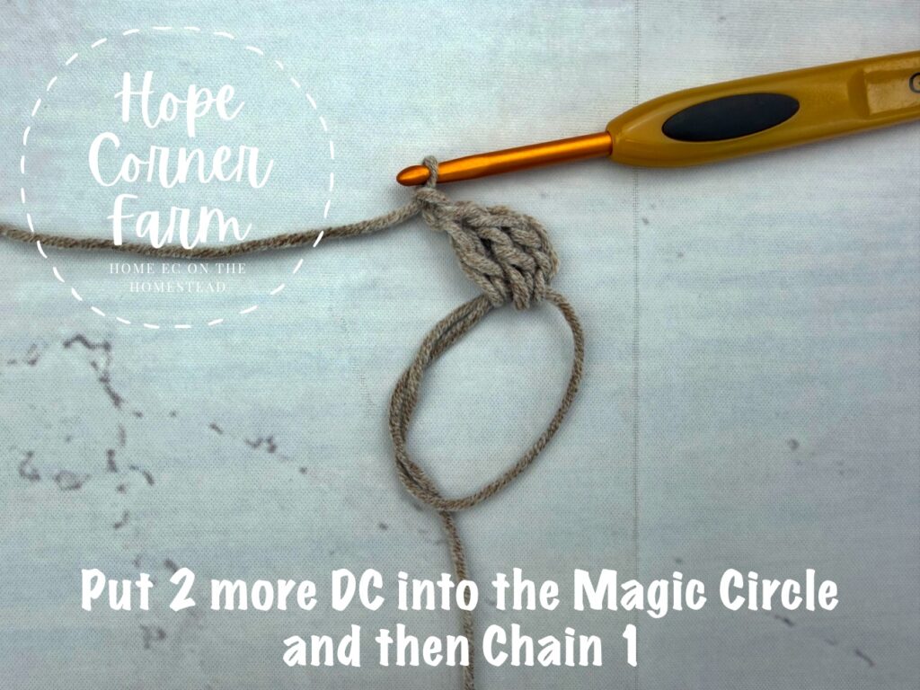 Put 2 more double crochets into the Magic Circle and then chain 1