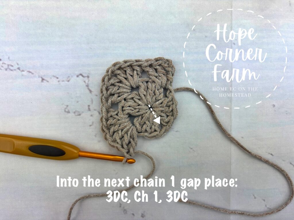 Into the next chain 1 gap place: 3 DC, chain 1, 3 DC