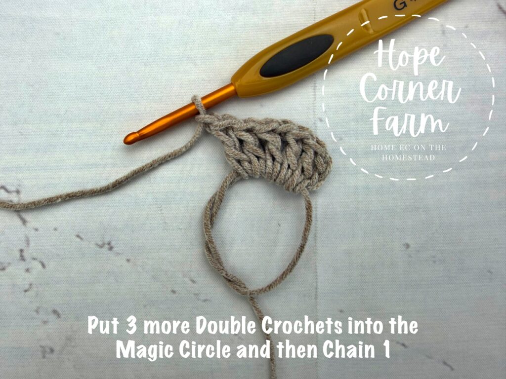 Place 3 more double crochets into the magic ring and then chain 1