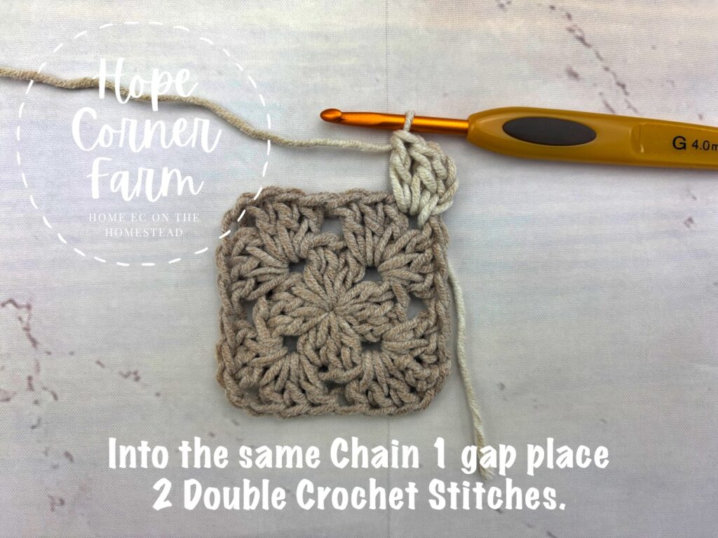 Into the same chain 1 gap place 2 double crochet stitches