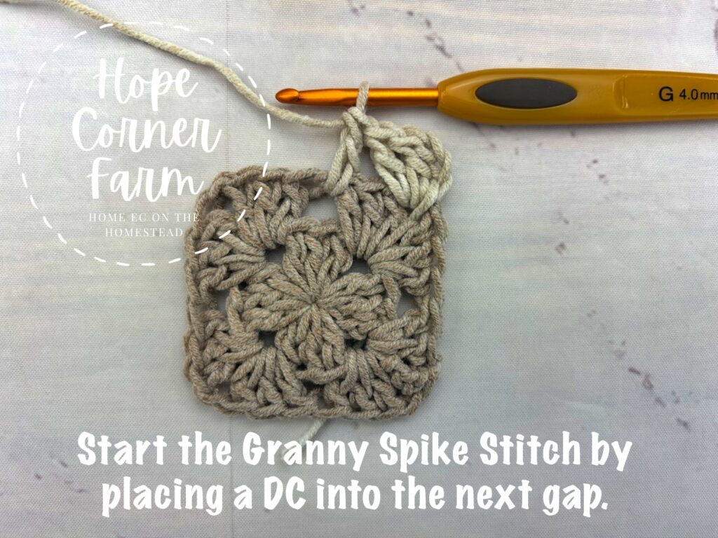 Start the Granny Spike Stitch by placing a DC into the next gap
