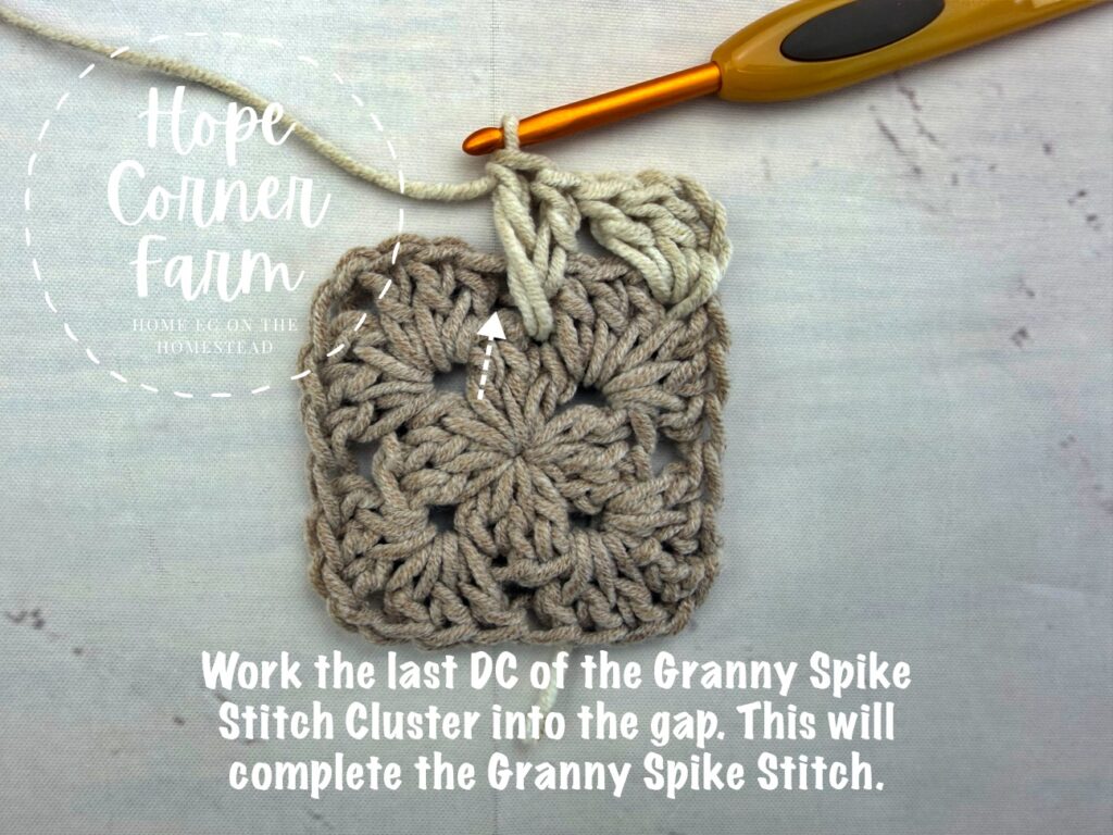 Place the 3rd DC into the same gap. Granny Spike Stitch Cluster completed