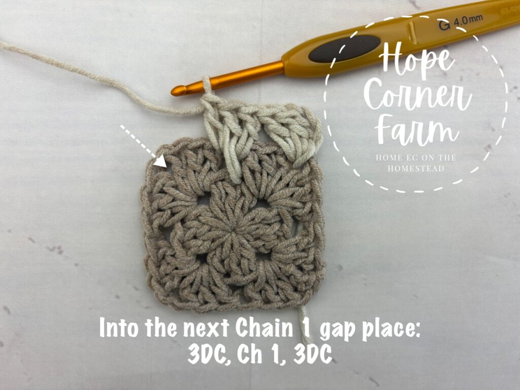 Into the next chain 1 space place 3 DC, chain 1, 3 DC.