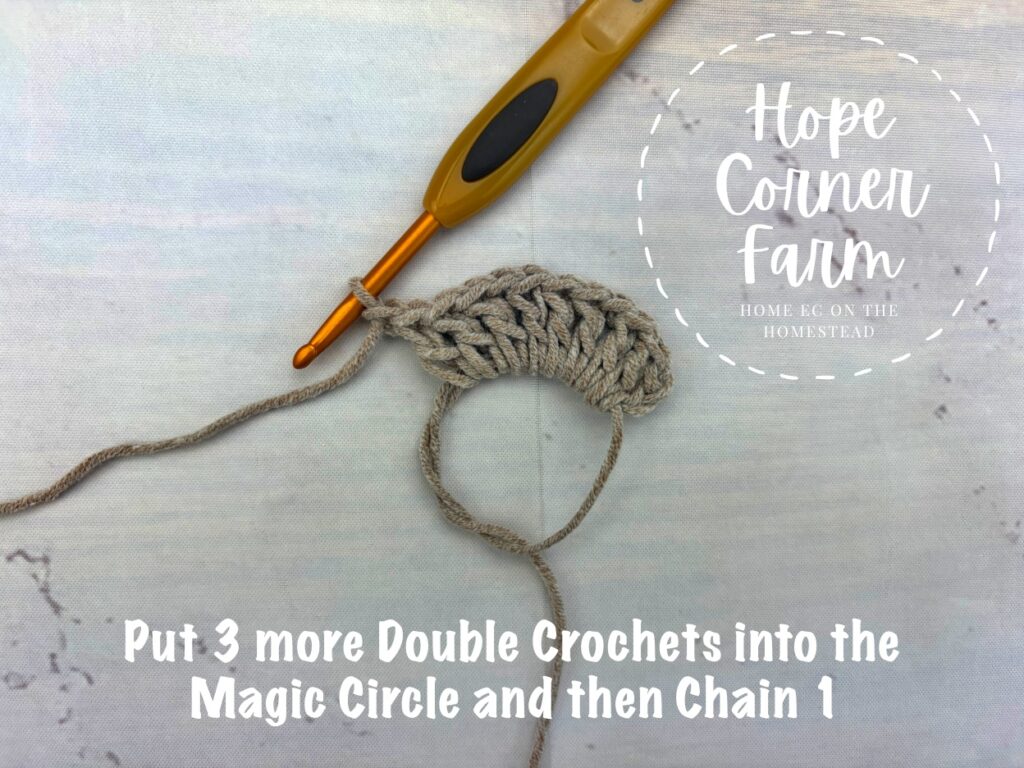3DC and Chain 1 into the magic ring