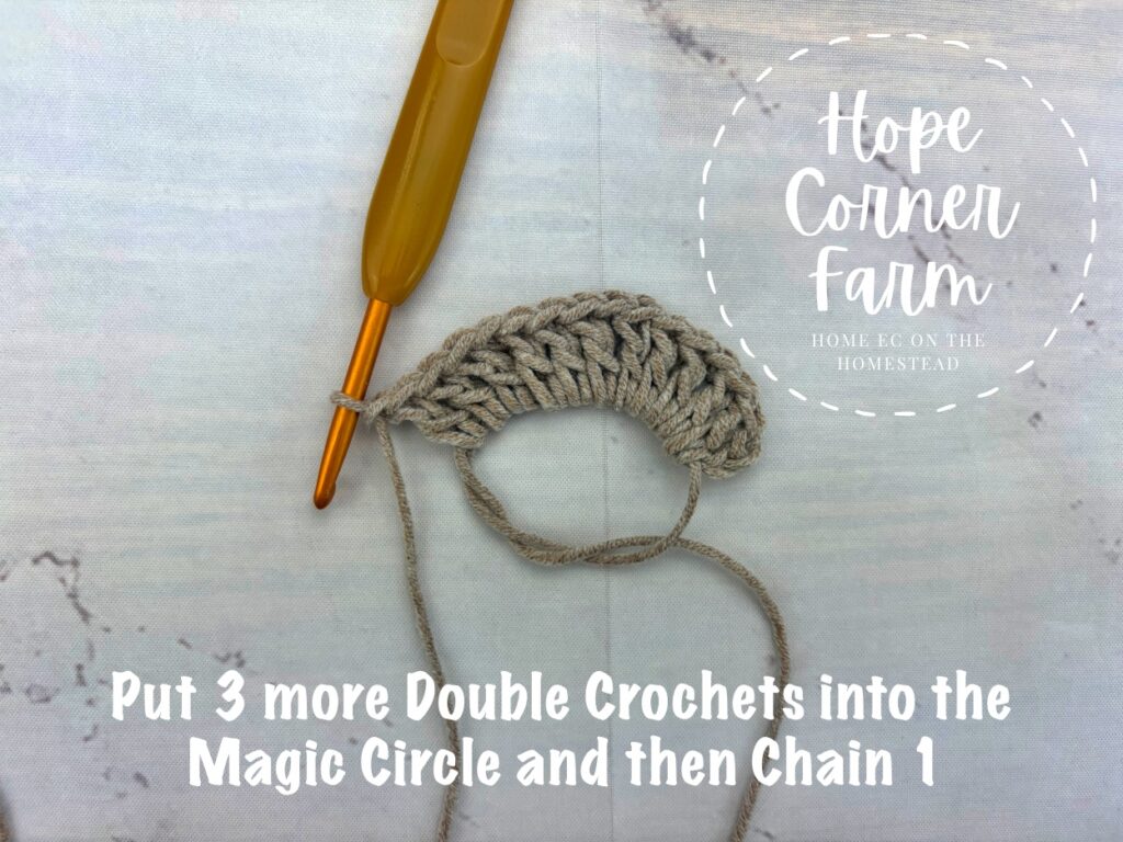 3 Double Crochets and then Chain 1 in the Magic Circle