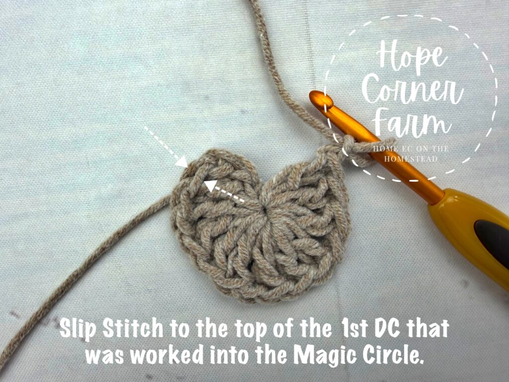 Slip Stitch to the top of the 1st Double crochet that was worked into the Magic Circle