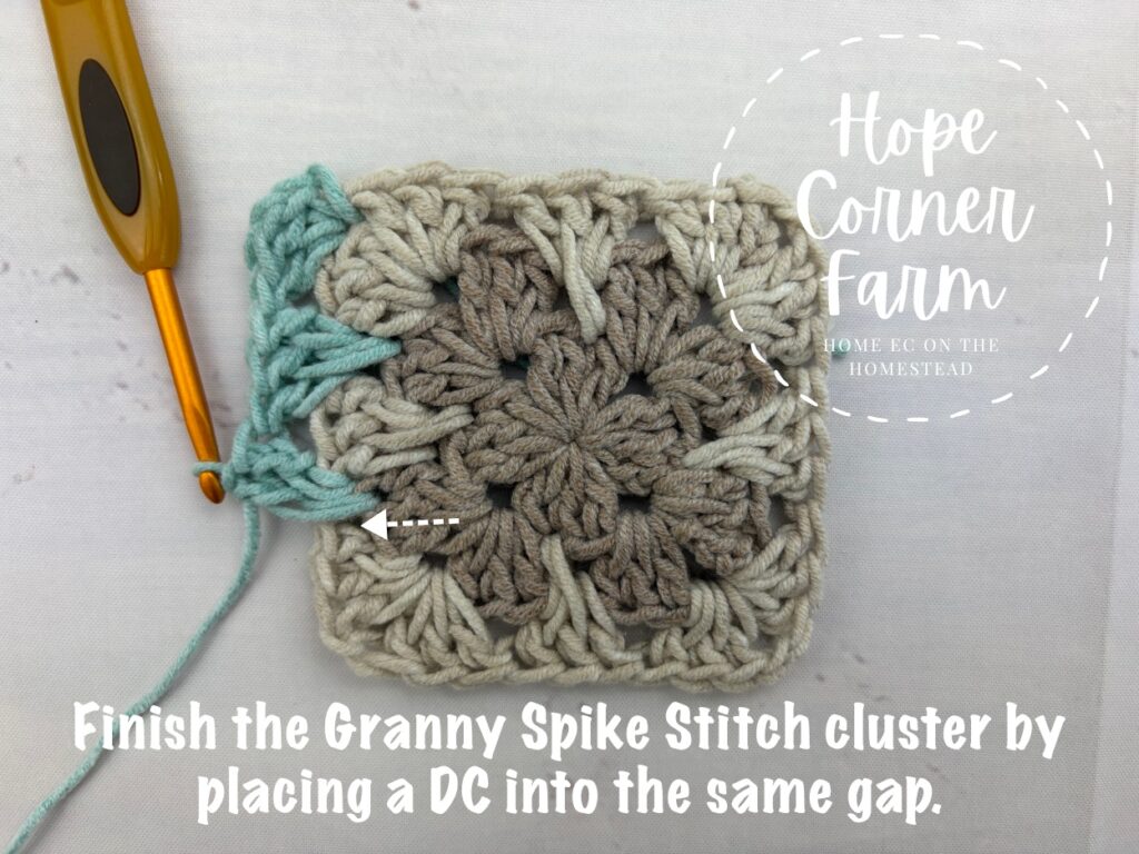 Finish the granny spike stitch cluster by placing a double crochet into the same gap
