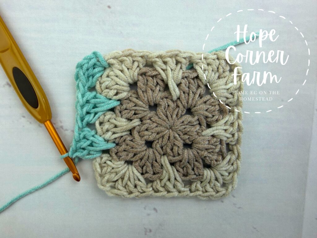 Complete Granny Spike Stitch Cluster