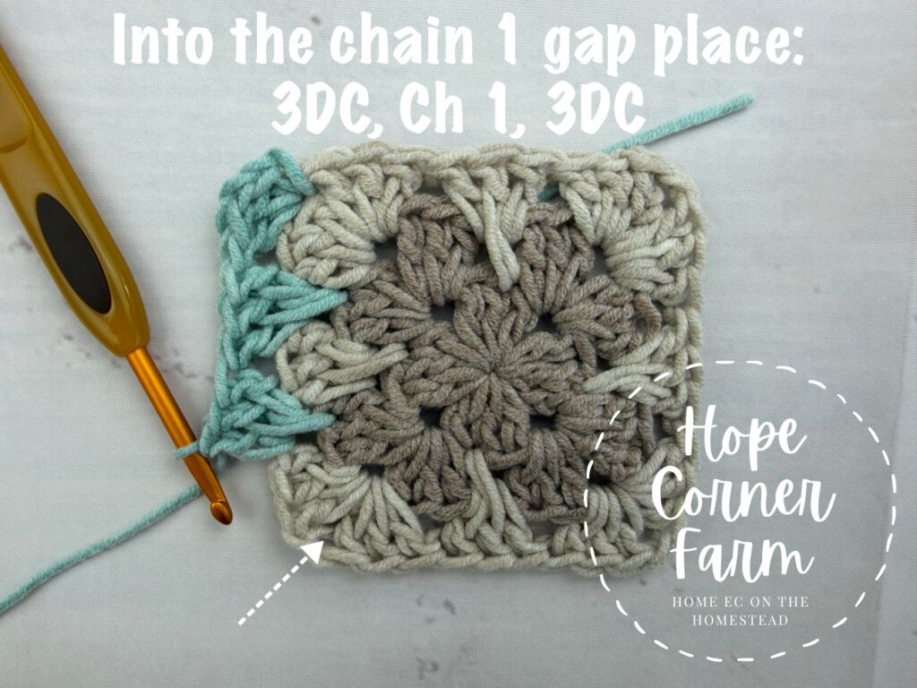 Into the chain 1 gap place 3 DC, chain 1, 3 DC