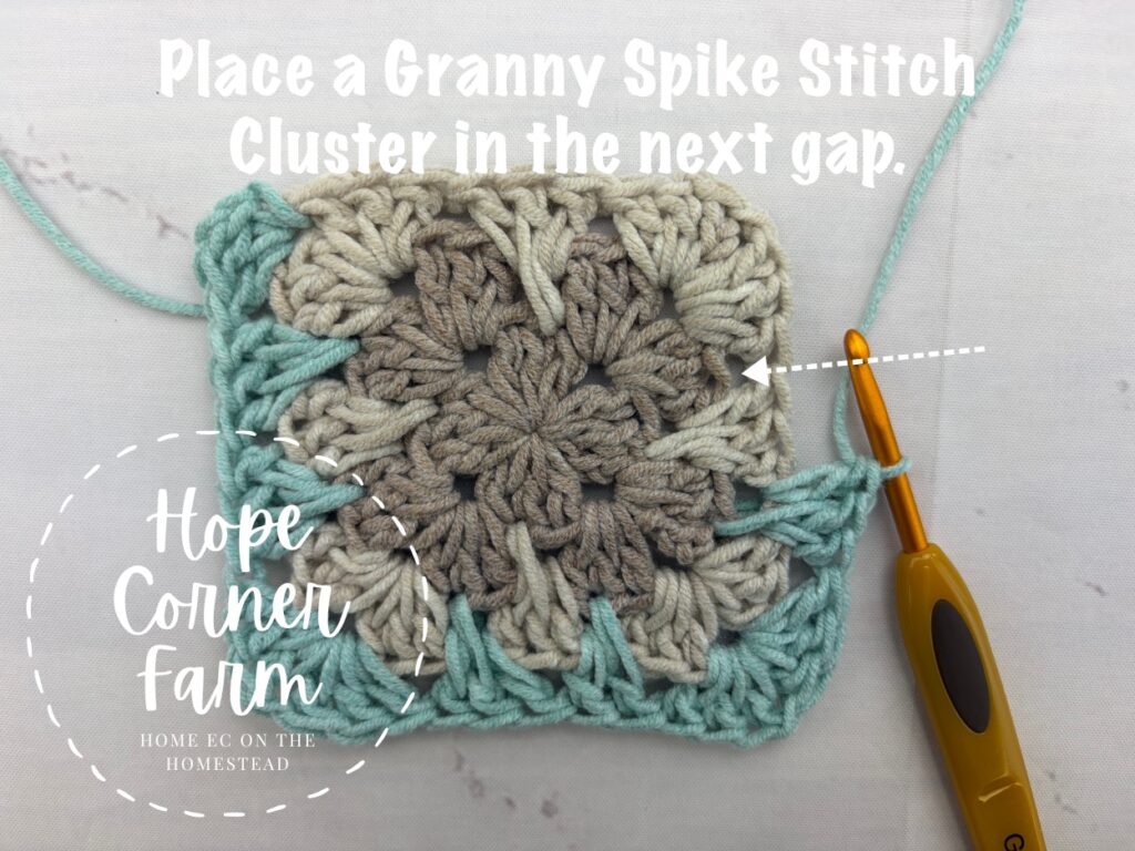 Place a granny spike stitch cluster in the next gap