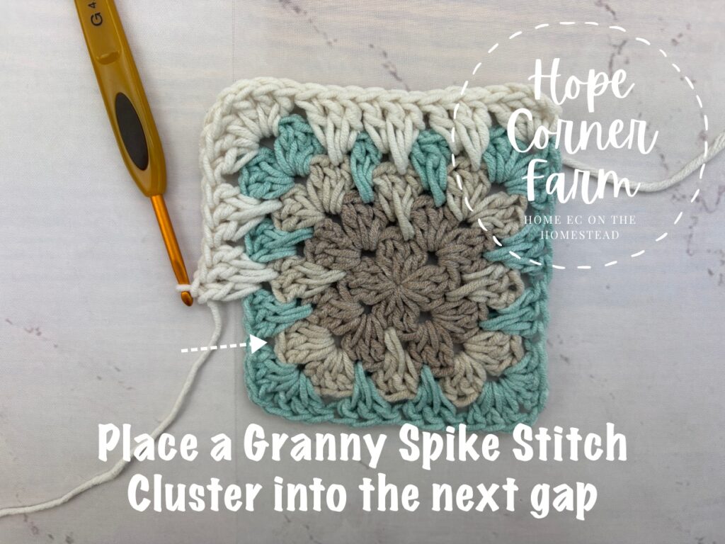 Place a Granny Spike Stitch Cluster into the next gap