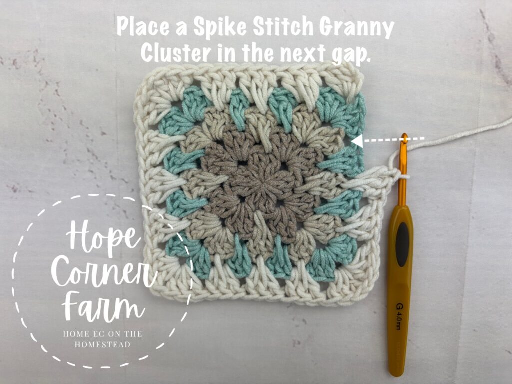 Place a crochet granny spike stitch cluster in the next gap