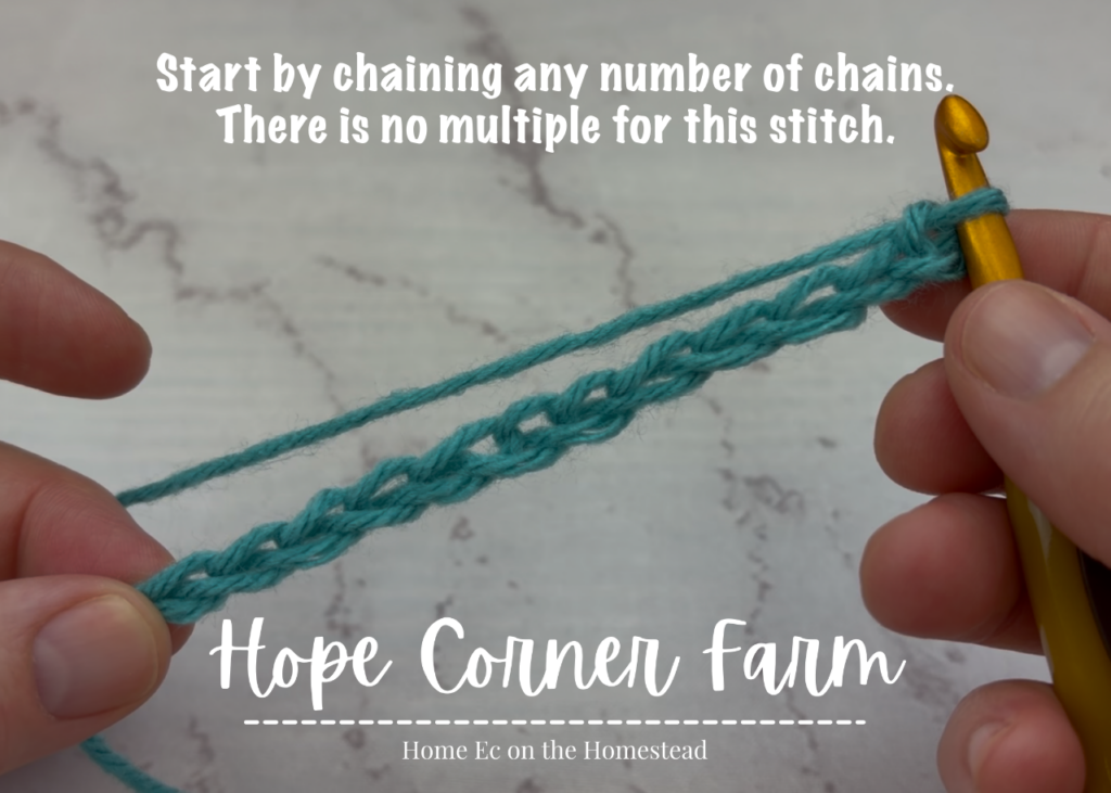Start by chaining any number of chains. There is no multiple for this stitch