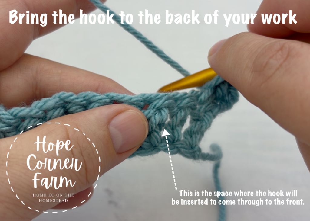 Bring the crochet hook to the back of your work