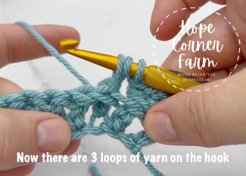 Now there are 3 loops of yarn on the crochet hook