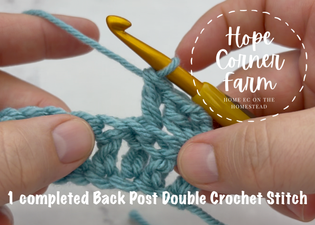 1 Completed Back Post Double Crochet Stitch