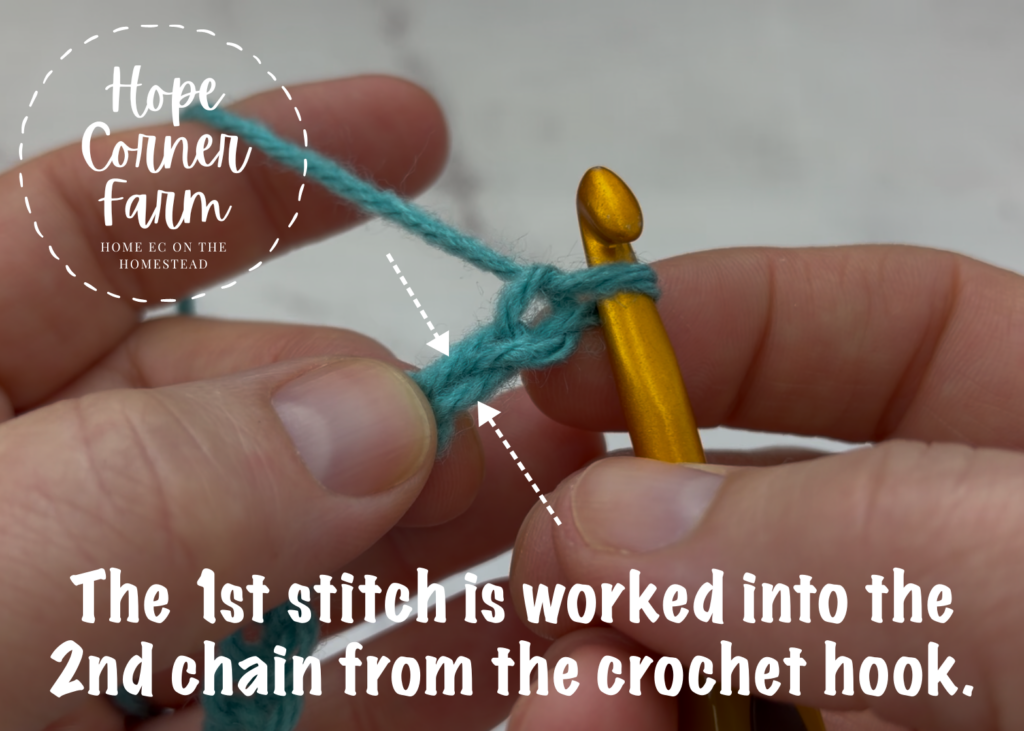The 1st stitch is worked into the 2nd chain from the crochet hook