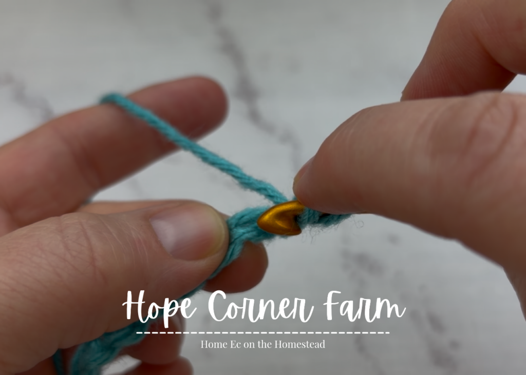 Getting ready to work the 1st Half Double Crochet