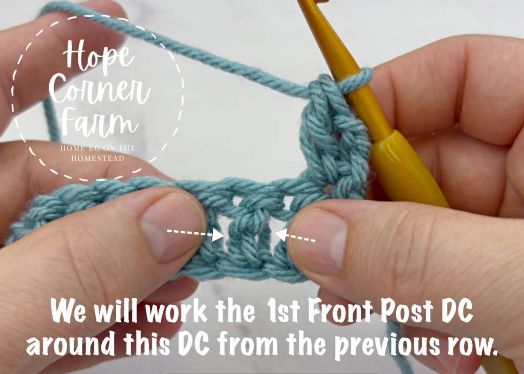 We will work the 1st Front Post Double Crochet around this DC from the previous row.