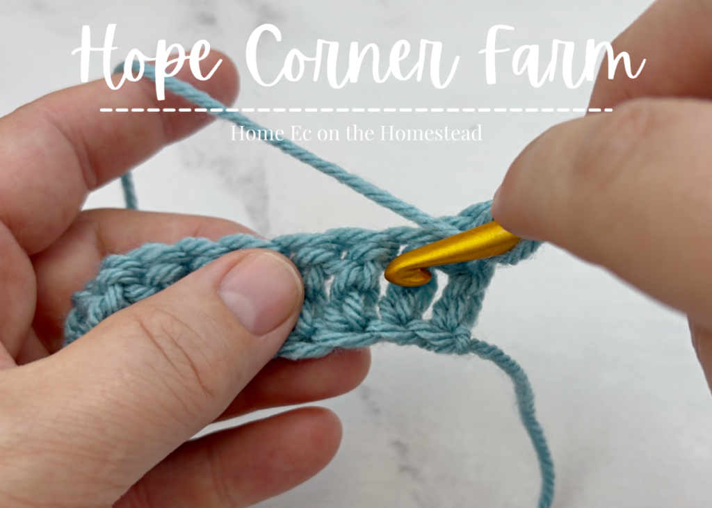 Inserting the crochet hook for the Front Post Double Crochet Stitch