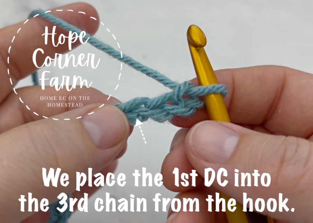 Work into the 3rd chain from the crochet hook.