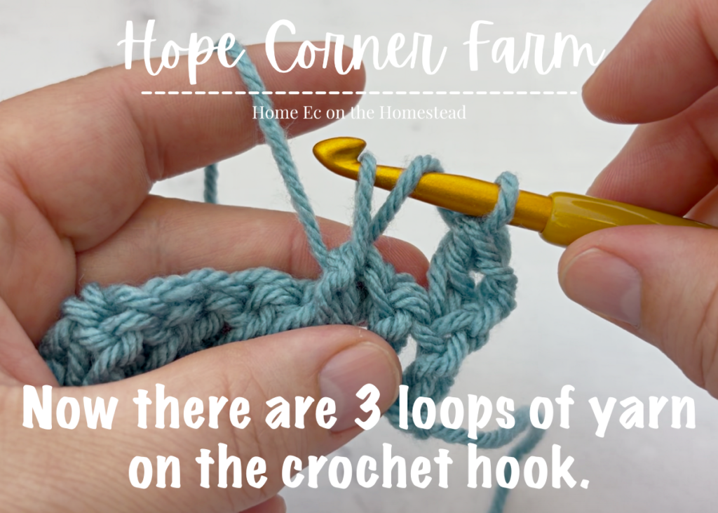 Now there are 3 loops of yarn on the crochet hook