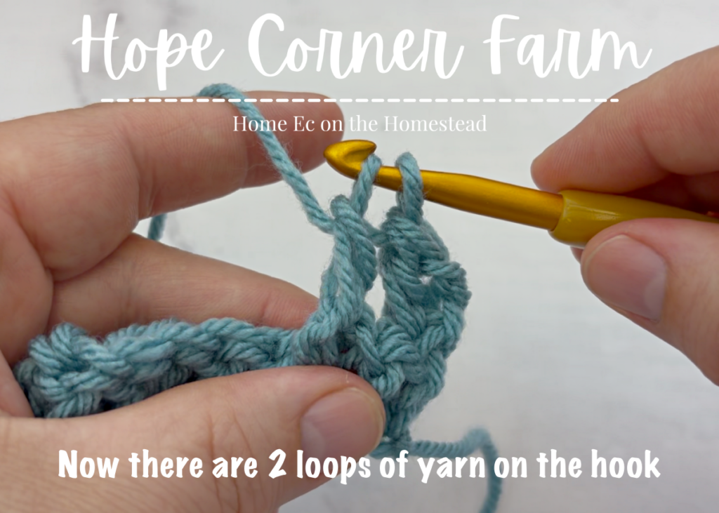 Now there are 2 loops of yarn on the crochet hook