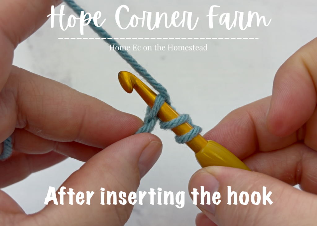 After inserting the crochet hook