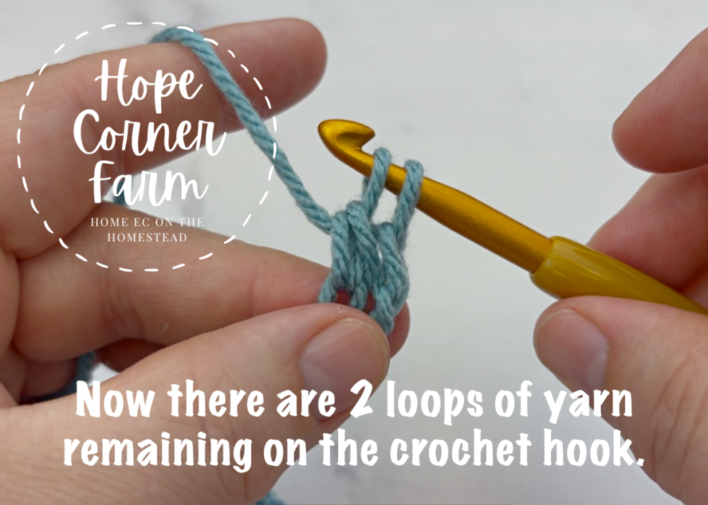 Now there are 2 loops of yarn on the crochet hook