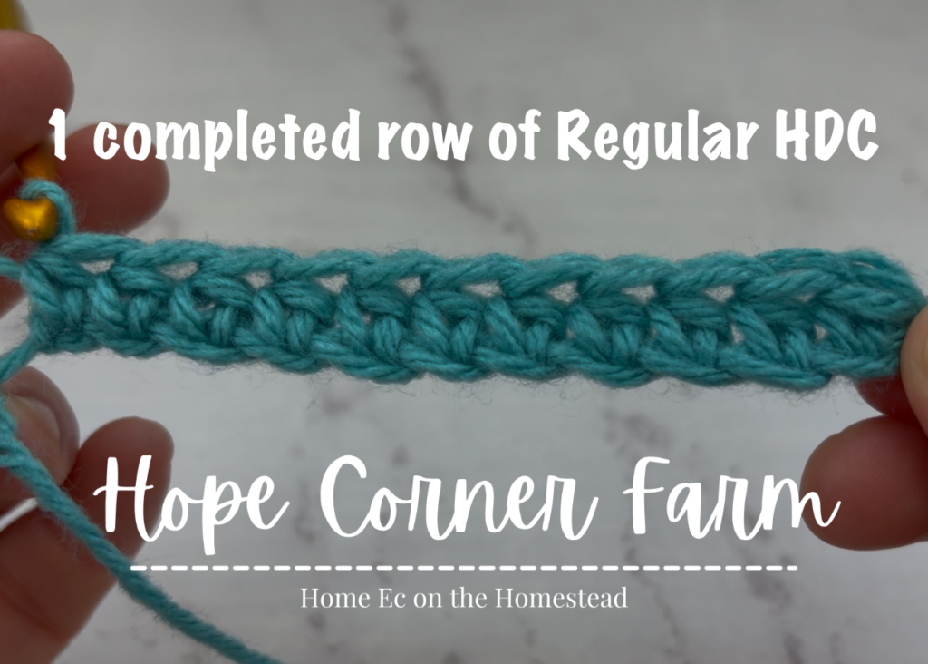 1 completed row of Half Double Crochet Stitches
