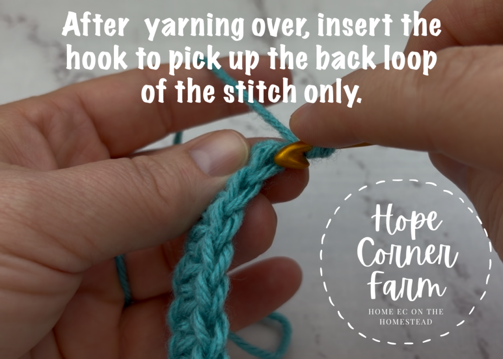 After yarning over, insert the hook to pick up the back loop of the stitch only