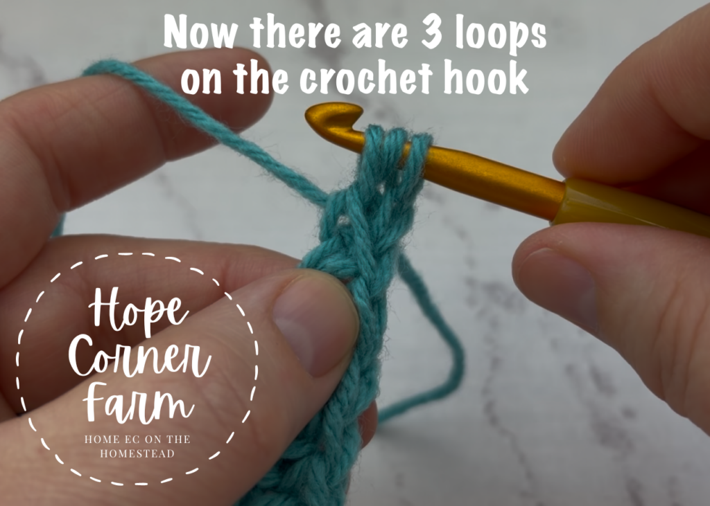 Now there are 3 loops of yarn on the crochet hook