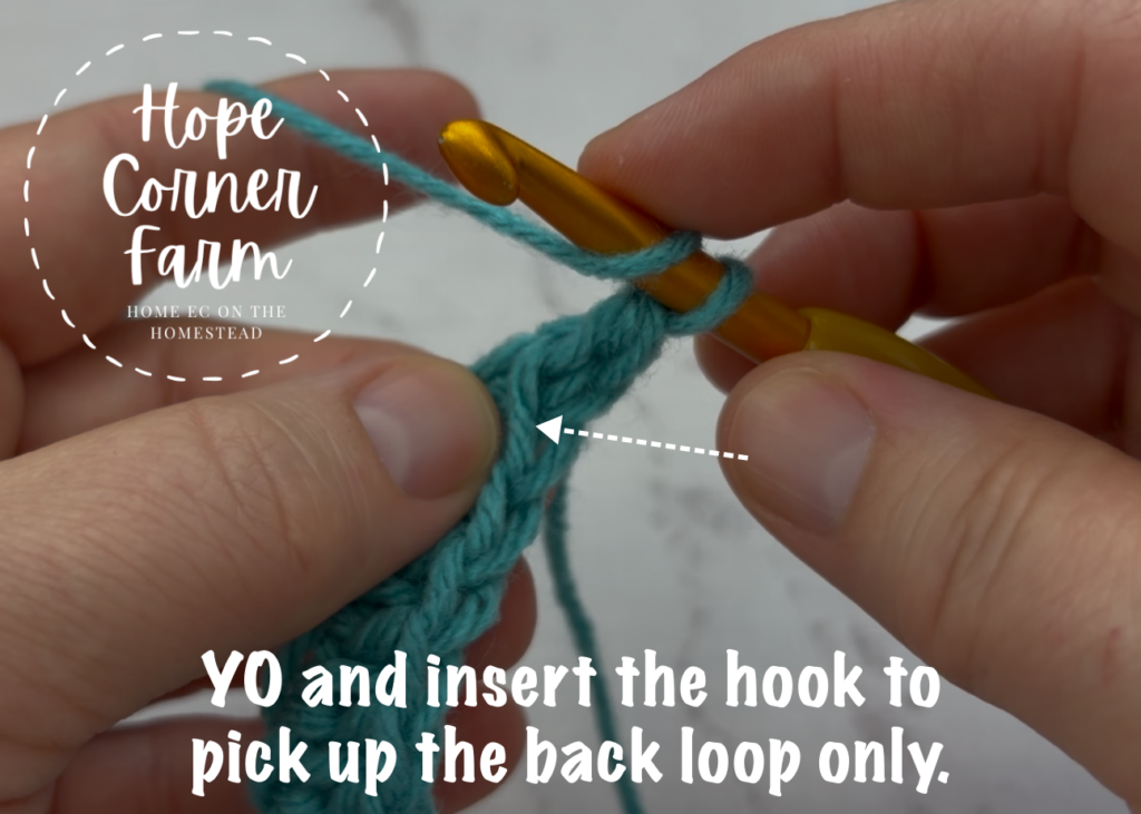 Yarn Over and insert the hook to pick up the back loop only