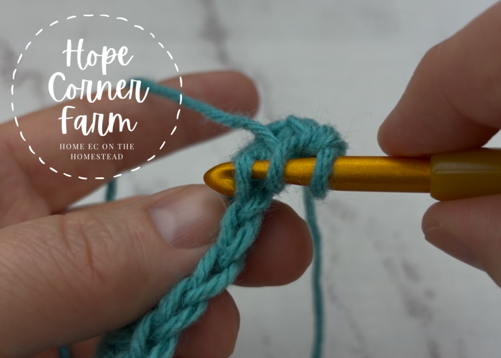 Inserting the crochet hook