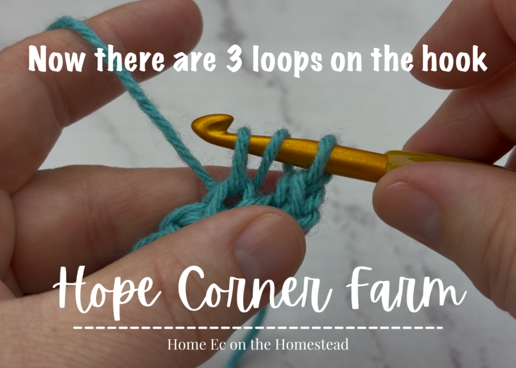 Now there are 3 loops of yarn on the crochet hook