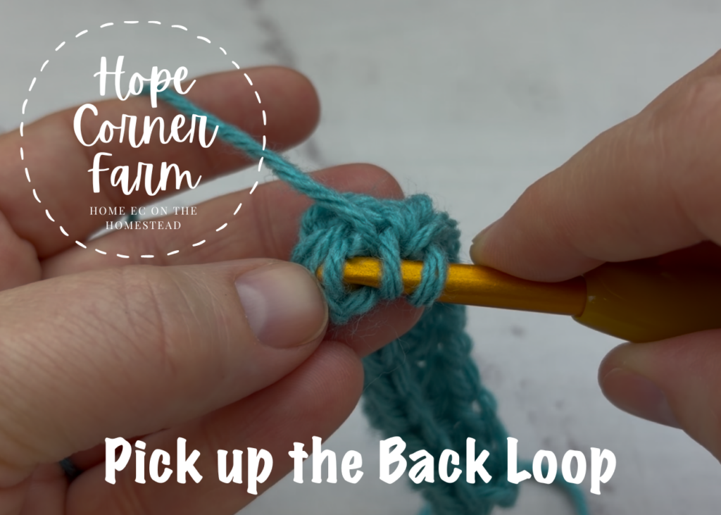 Picking up the Back Loop