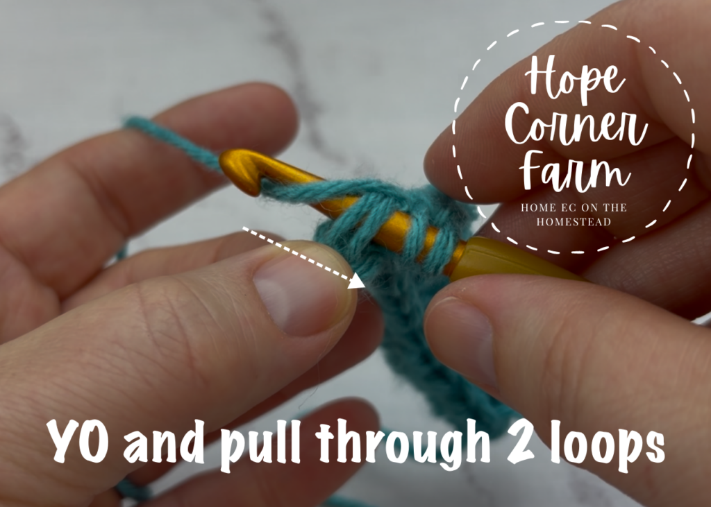 Yarn Over and pull through 2 loops of yarn