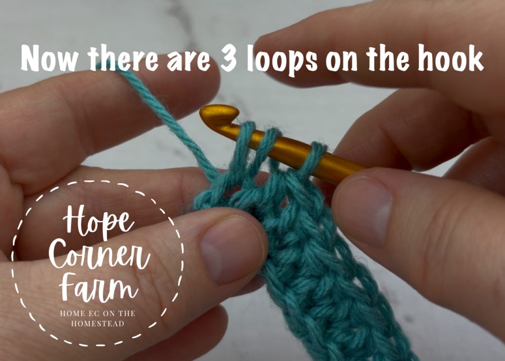 Now there are 3 loops of yarn on the hook