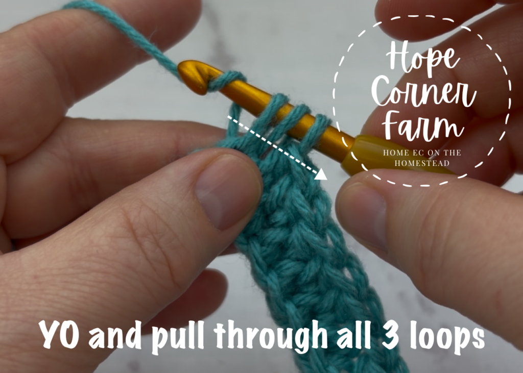 Yarn over and pull through all 3 loops