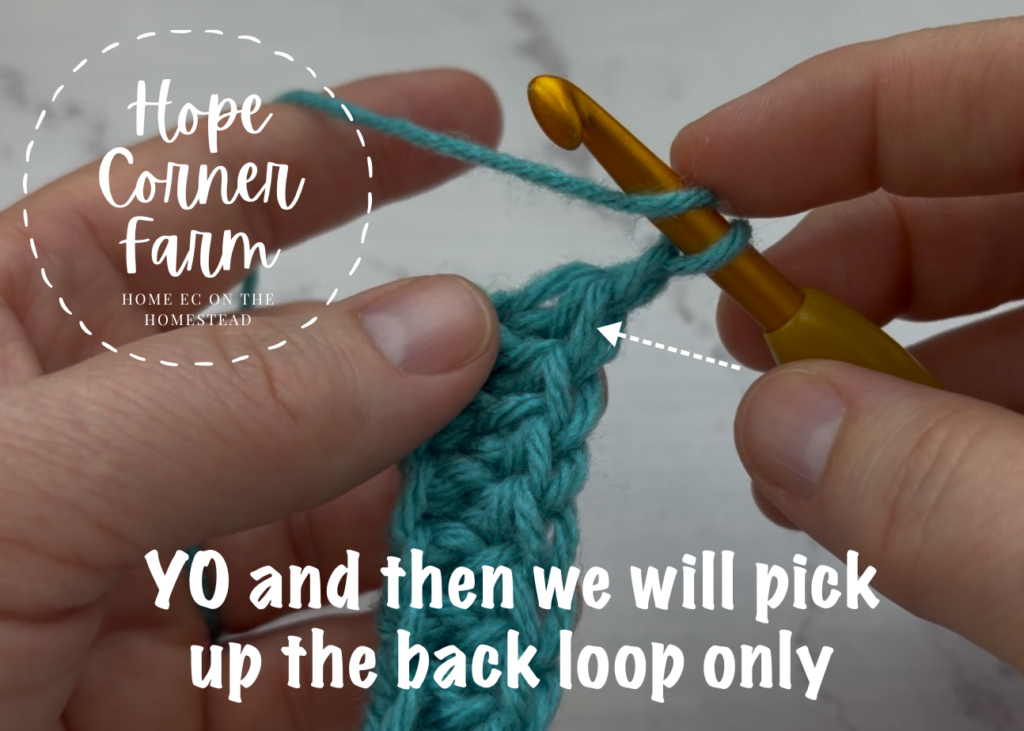 YO and then we will puck up the back loop only