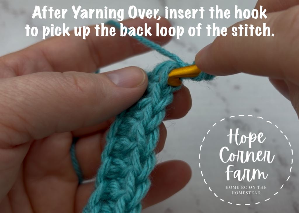 After yarning over, insert the crochet hook to pick up the back loop of the stitch