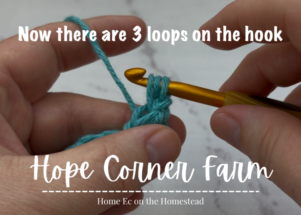 3 loops of yarn on the hook