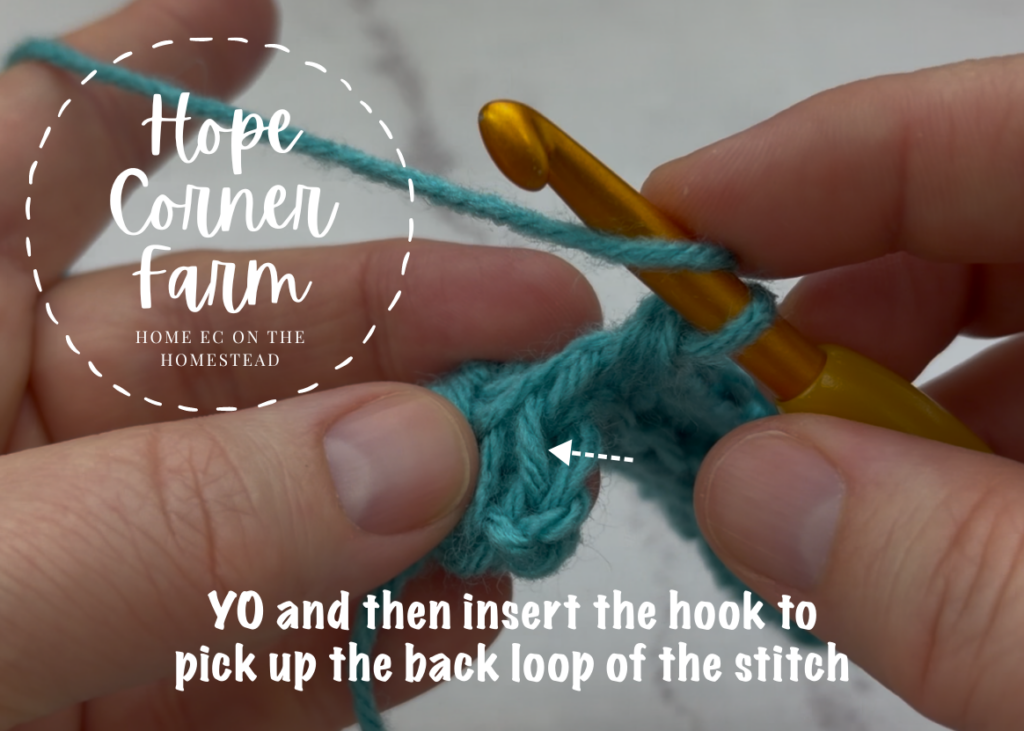 YO and insert the hook to pick up the back loop of the stitch