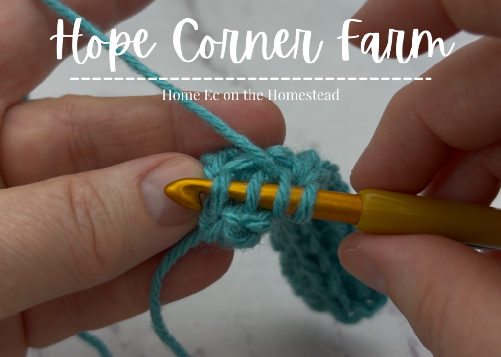 There are 4 loops of yarn on the crochet hook at this point