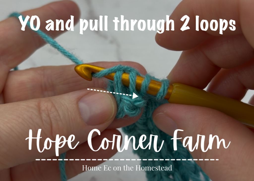 YO and pull through 2 loops of yarn on the crochet hook